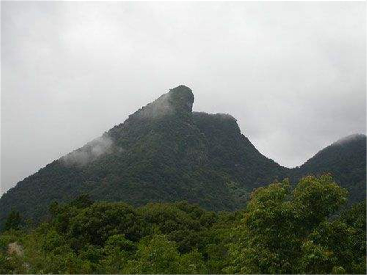 鹦歌岭保护区