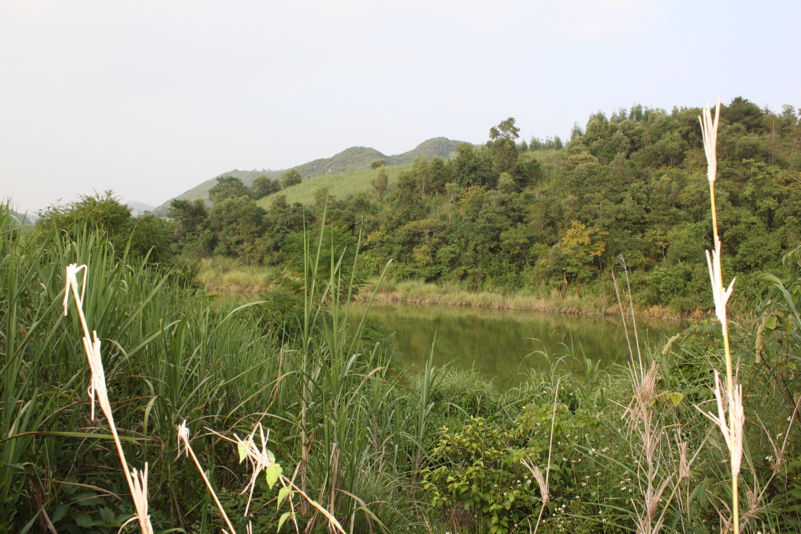 旧怀阳水库