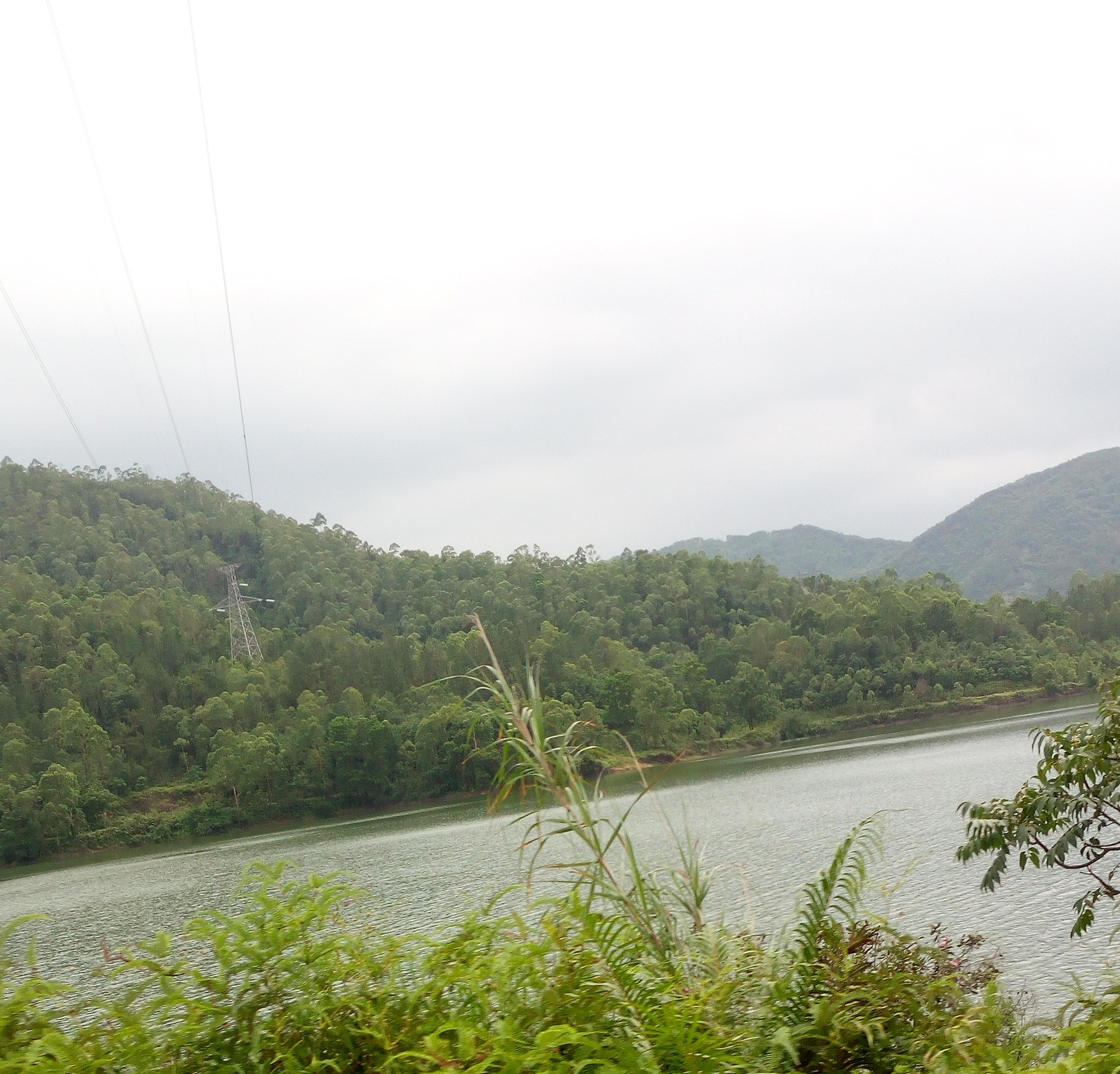 永湖镇大坑水库