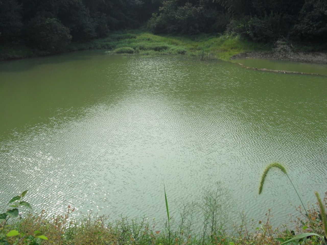 张村坞水库