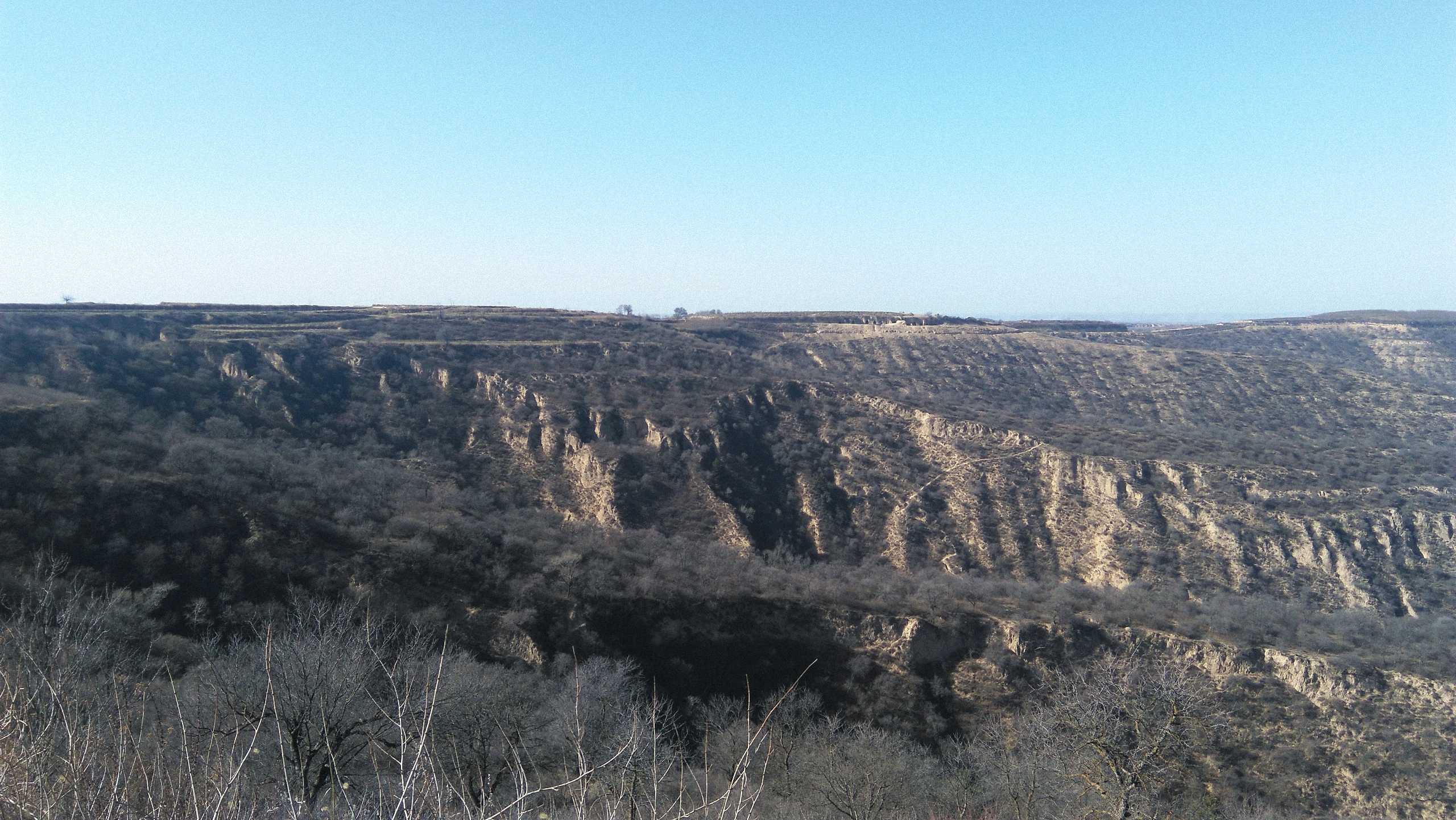 田家沟遗址