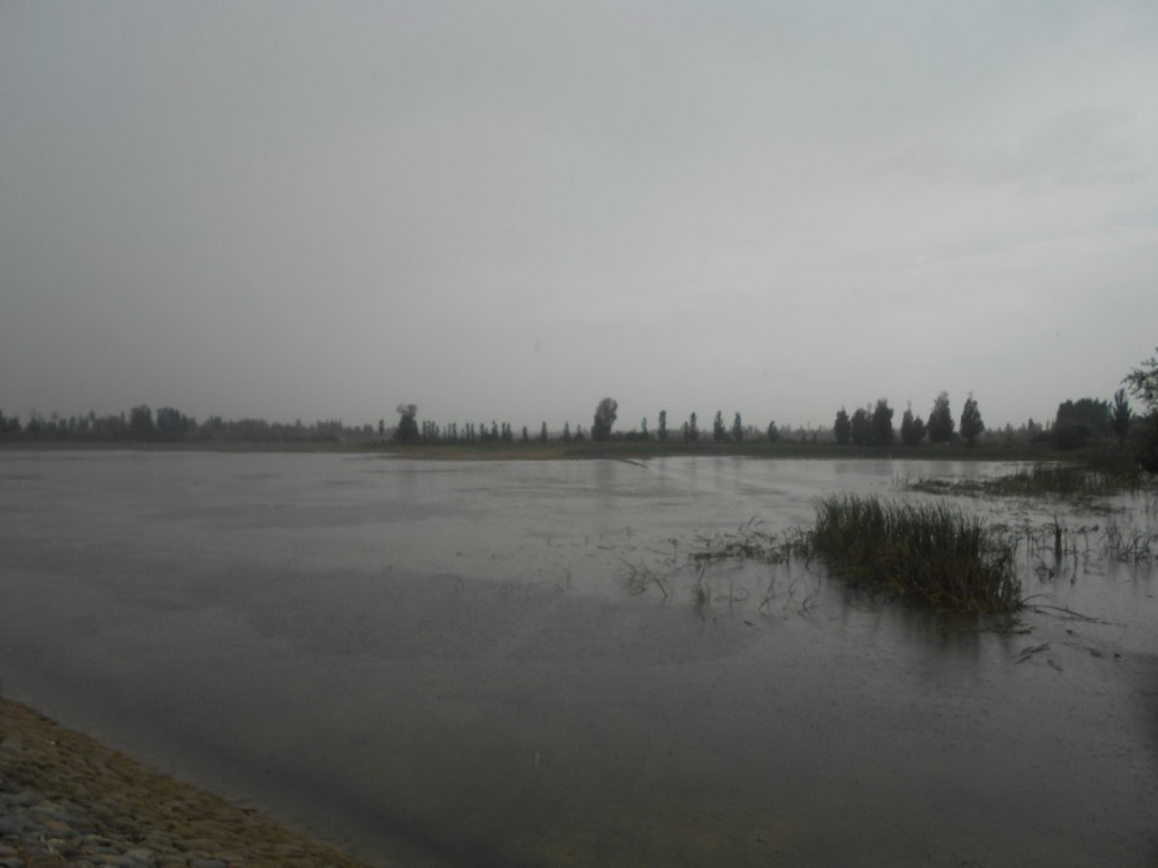 沙滩村2号水库