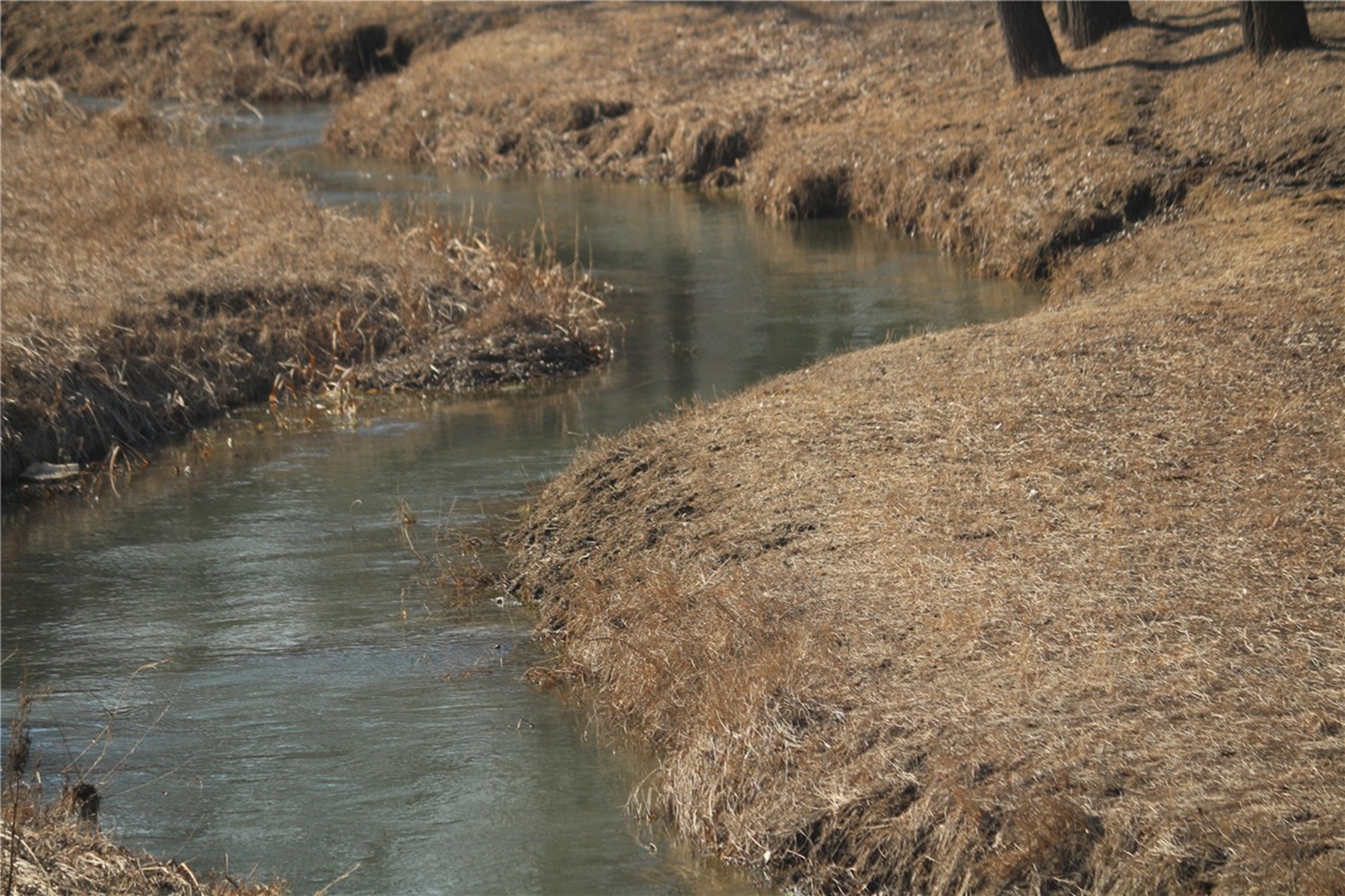 清水河南沟尧1号河湾