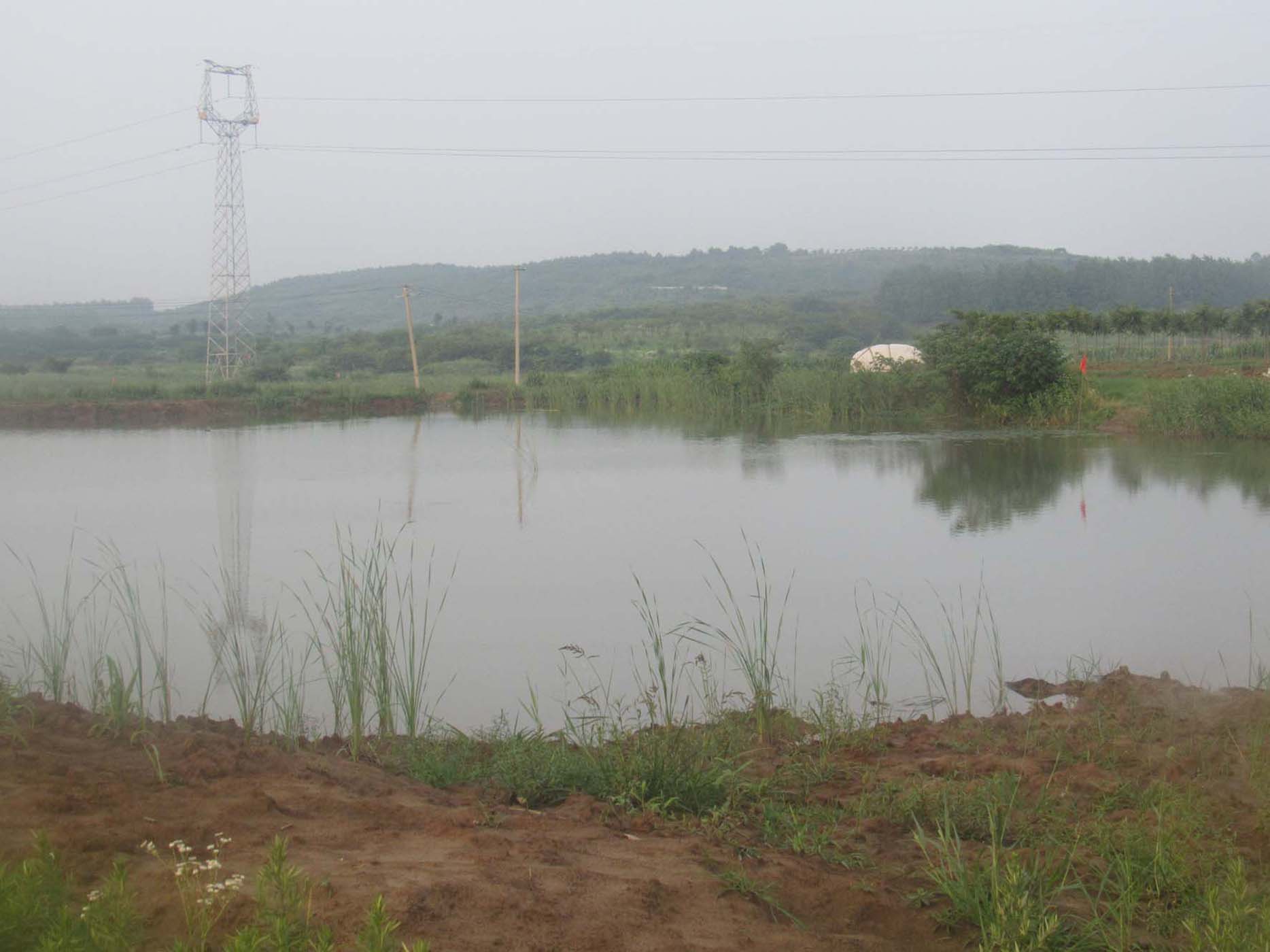 红龙池水库