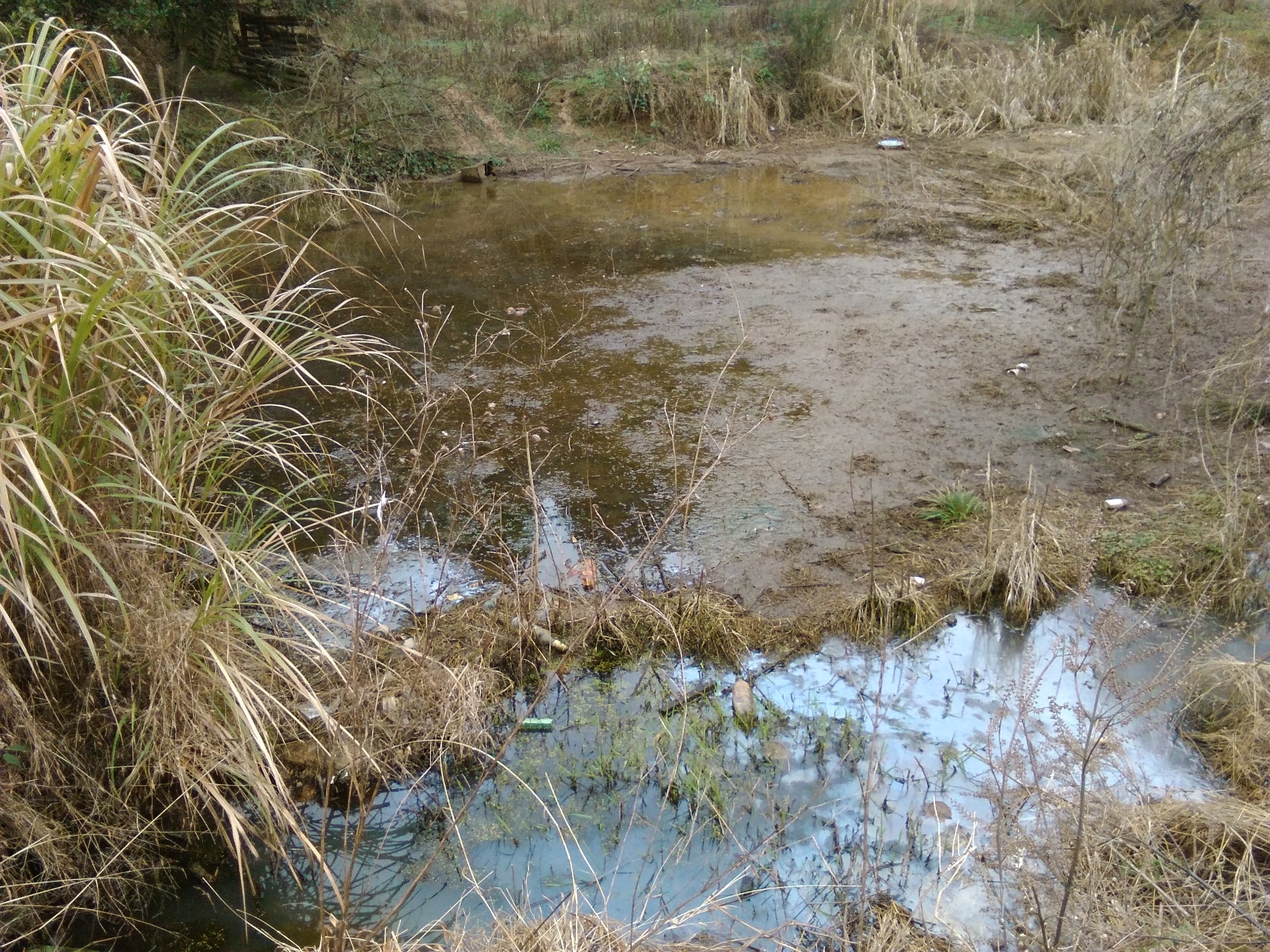 大岺坑山塘