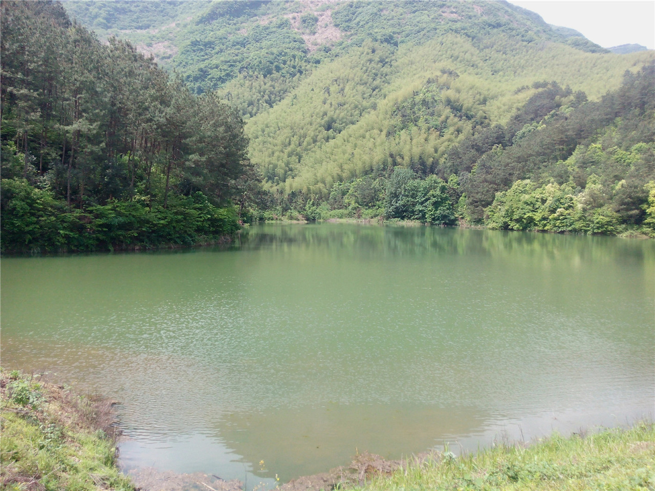 山下黎水库