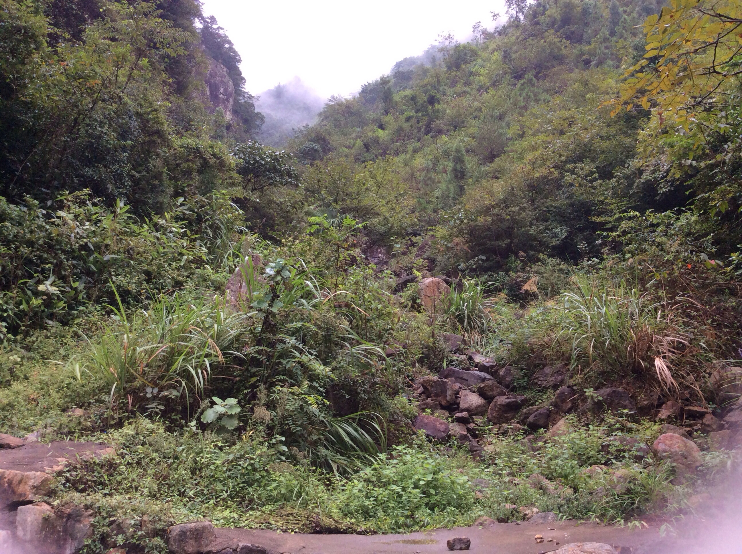 茶沟坑