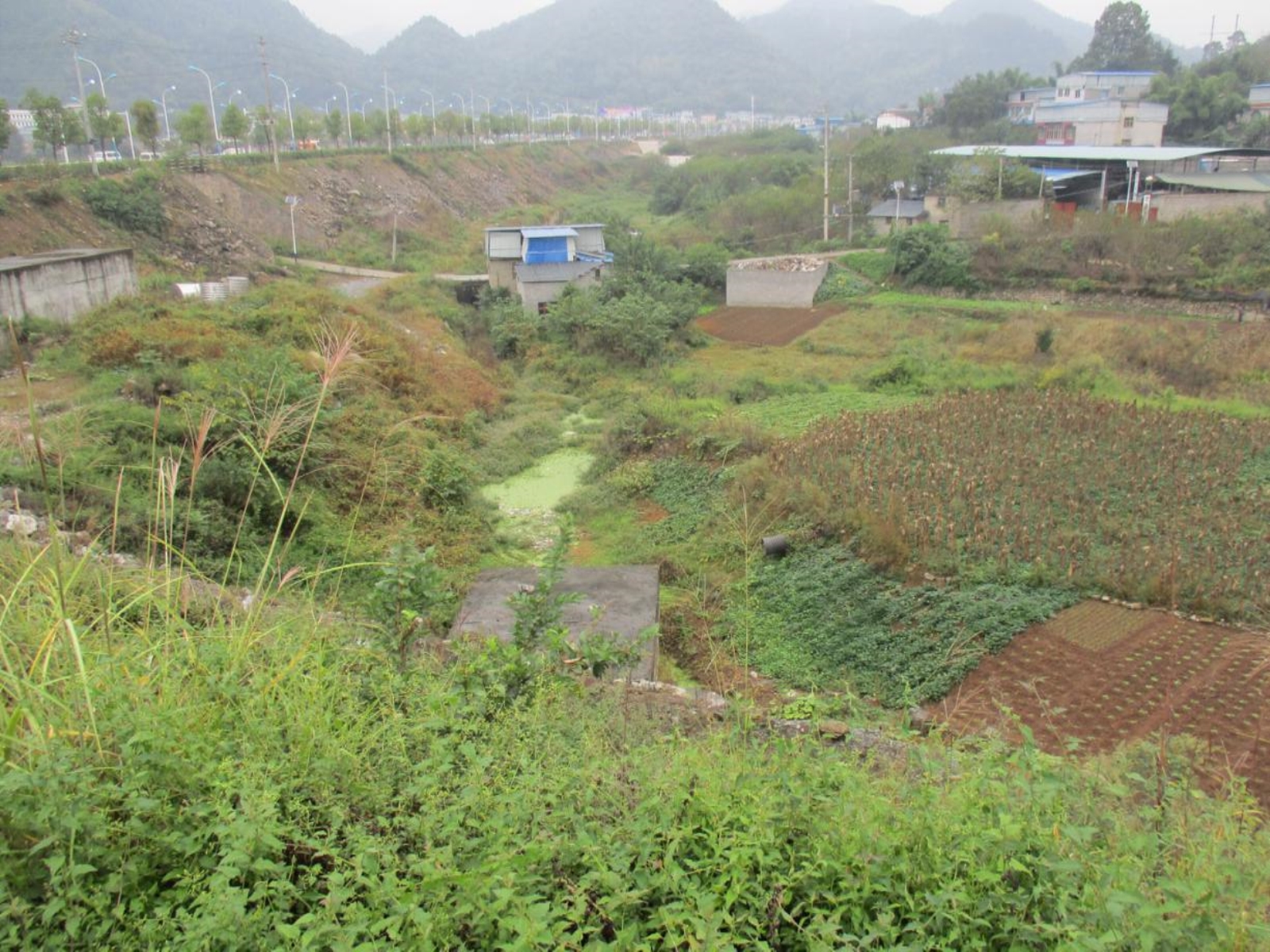 礼平河