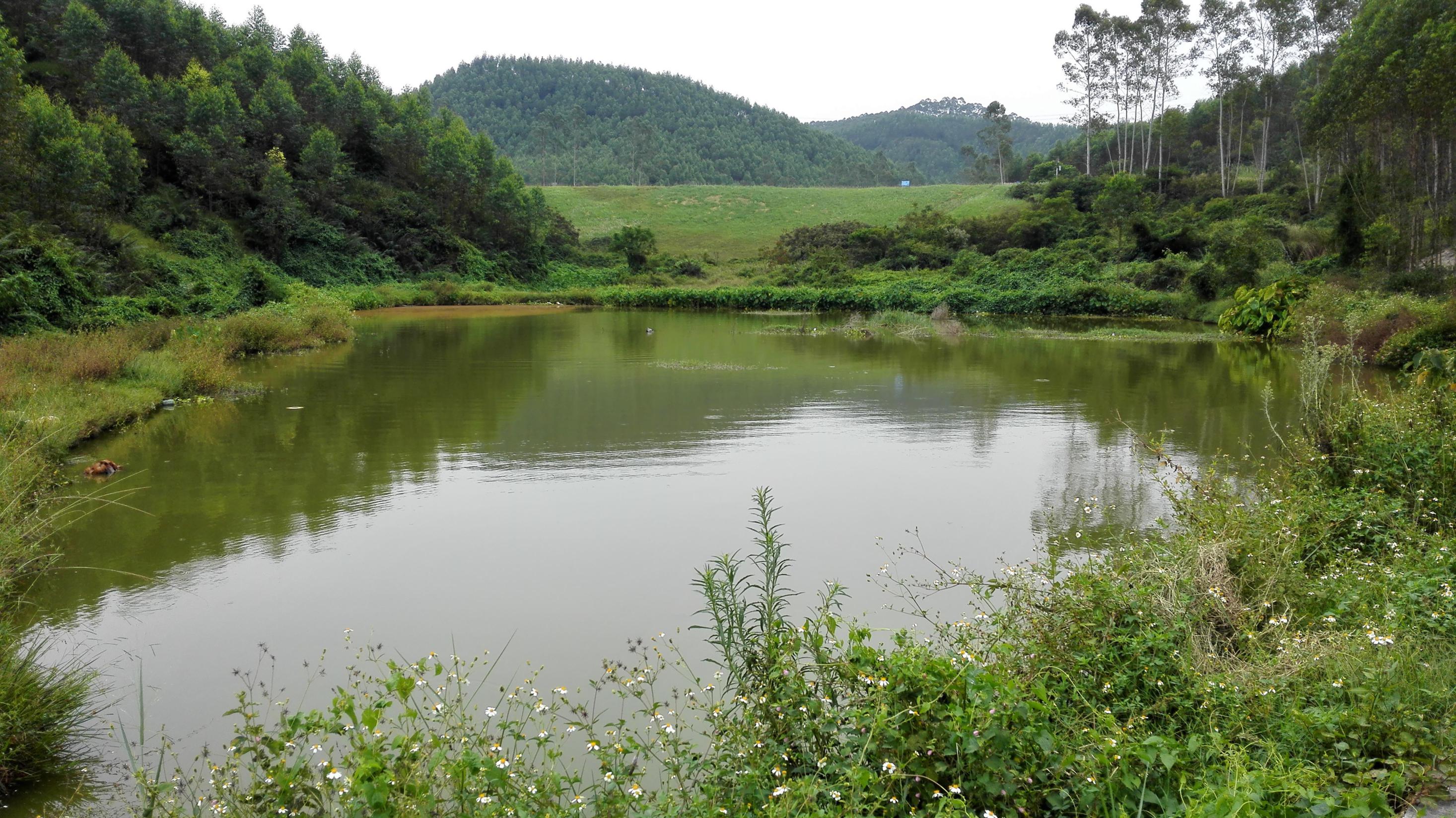 瓦窑坑山塘