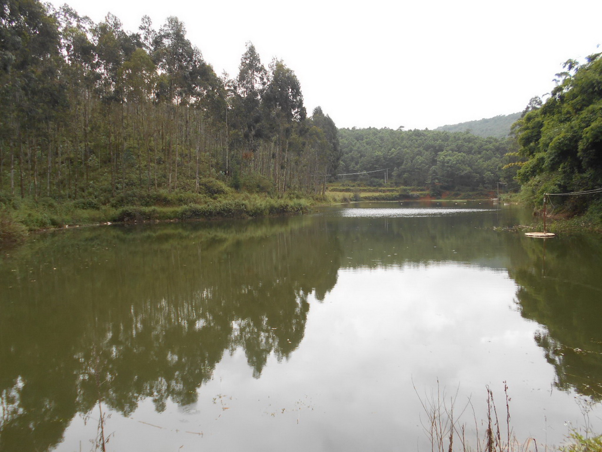 大官市七〇水库