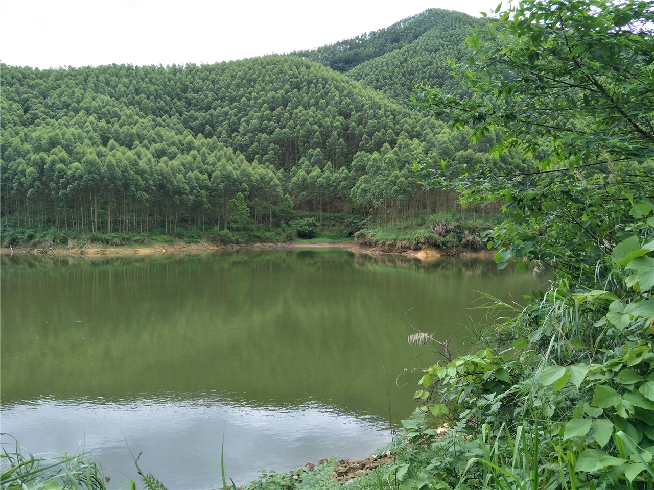 三层岭水库