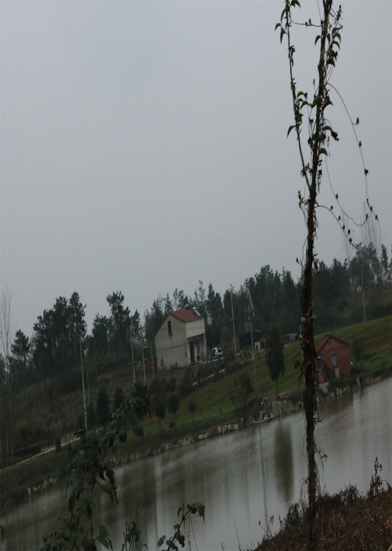 枯树湾水库