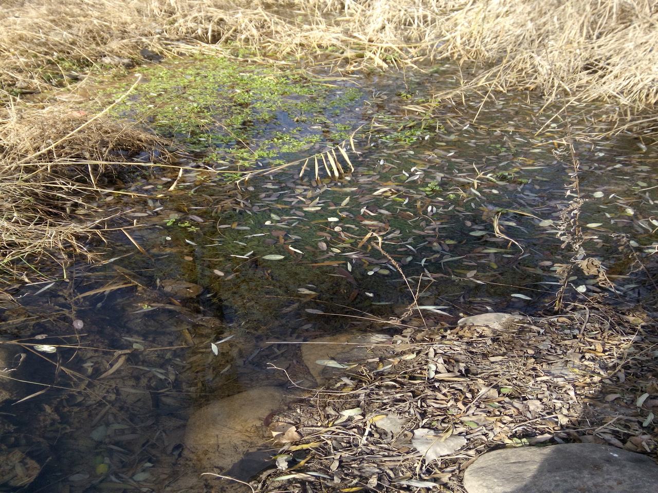 暖水泉