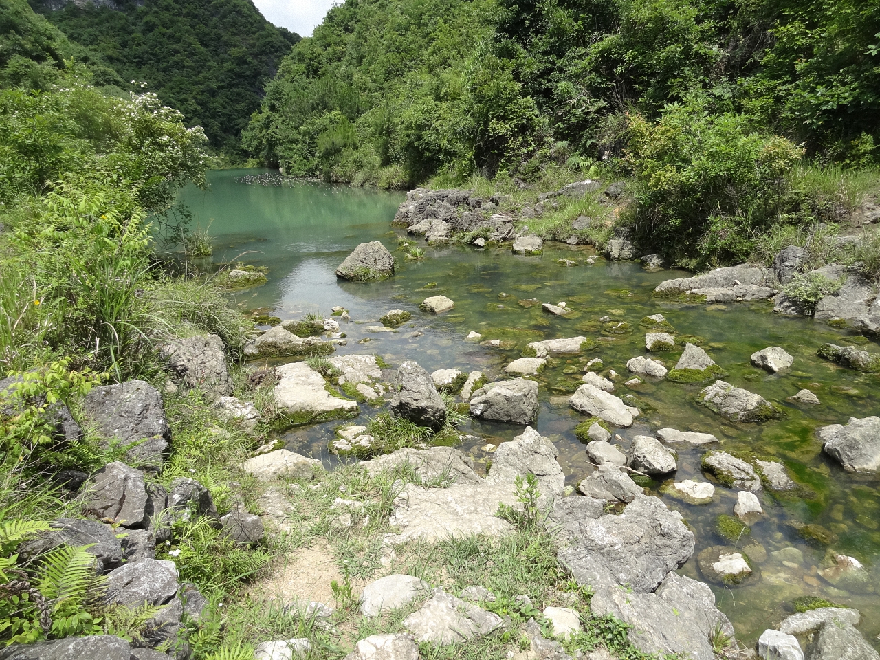 高沟泉