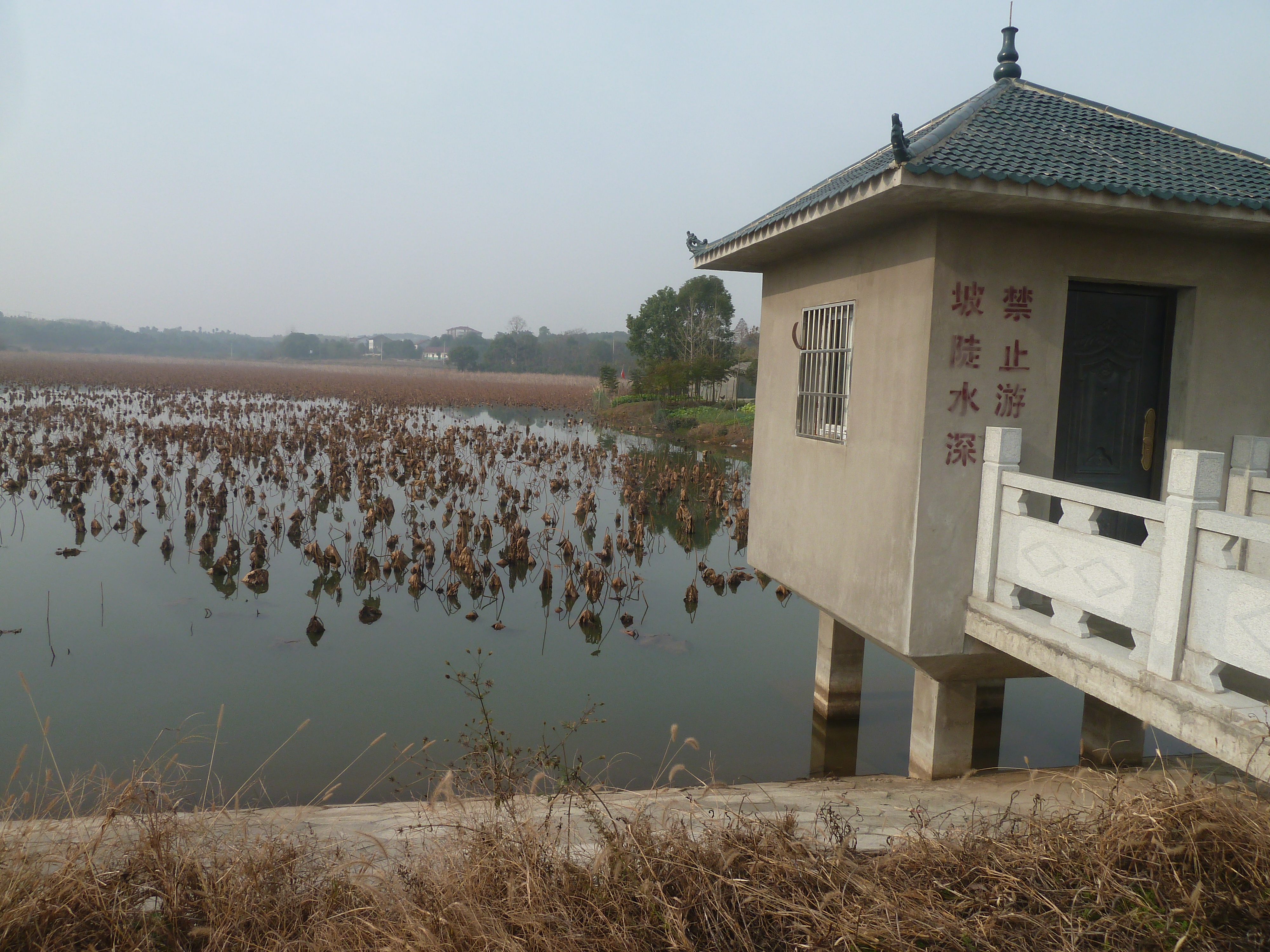 贾大堰水库