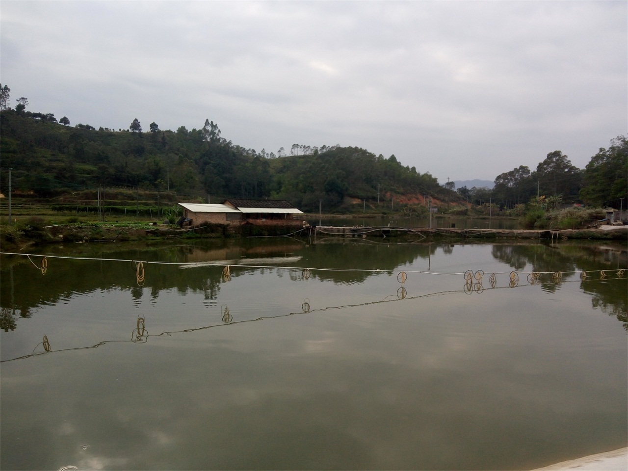 秀川塘水库