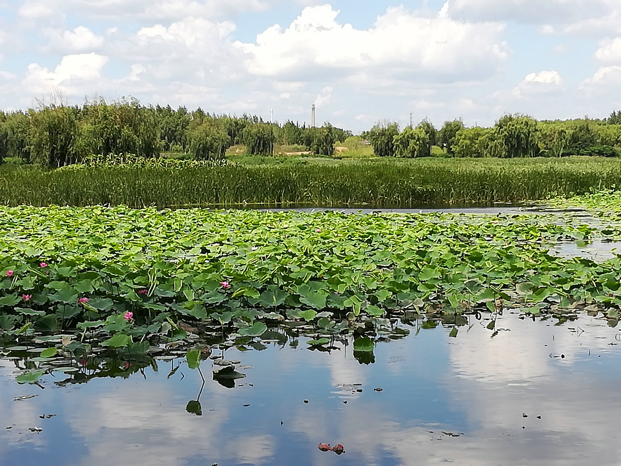 雁鸣湖