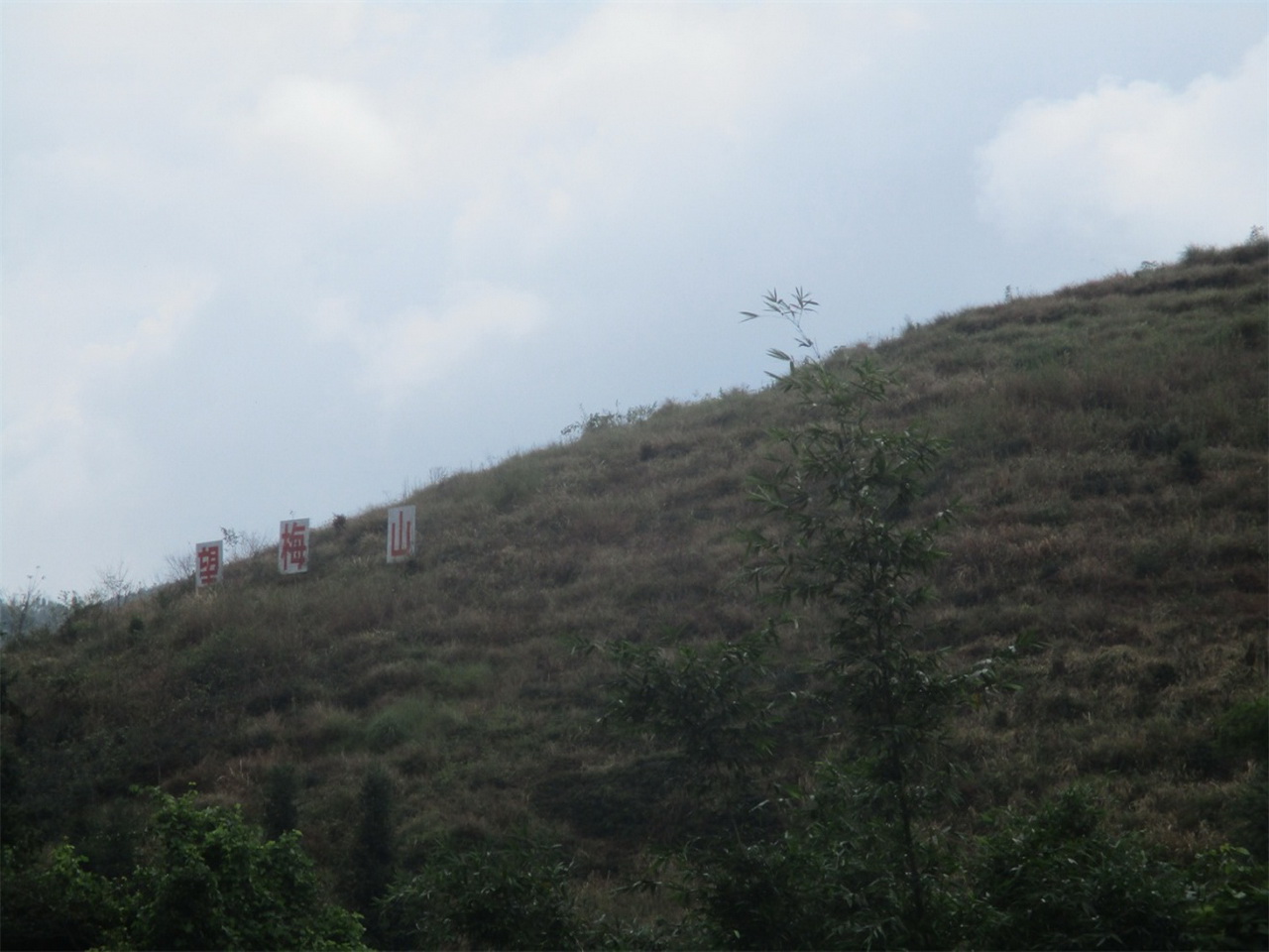 望梅山风景区