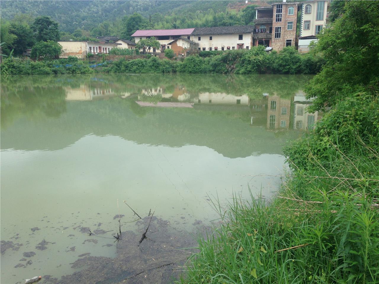 栏坑塘水库