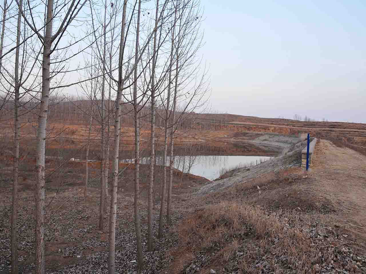 桲椤峪水库