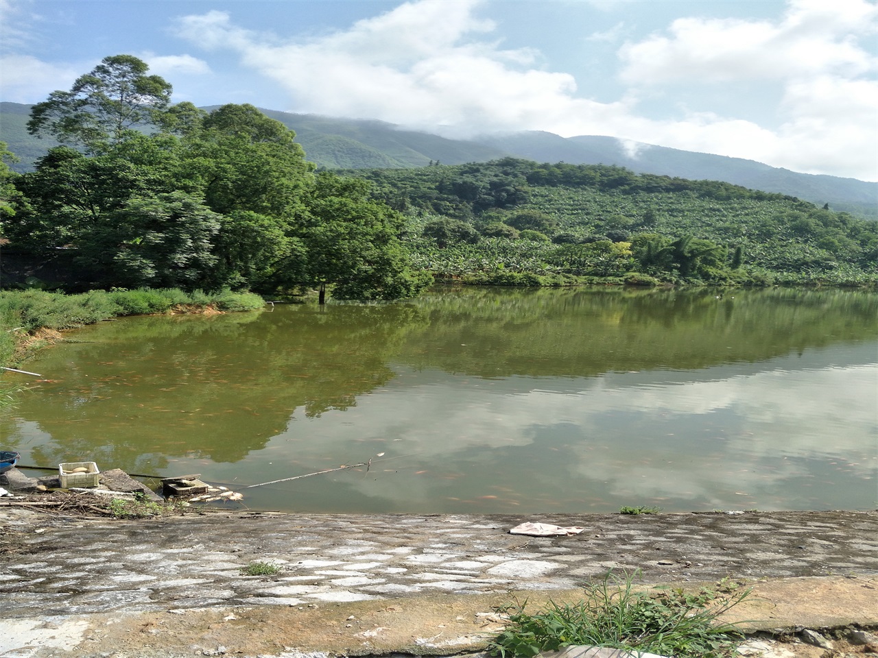 狮头坑水库