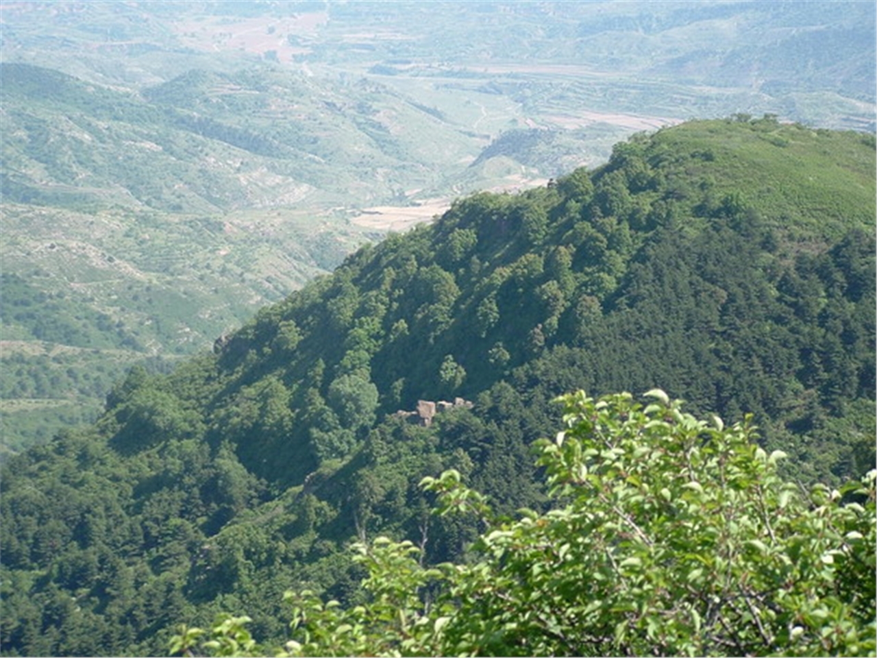 桃阳景区