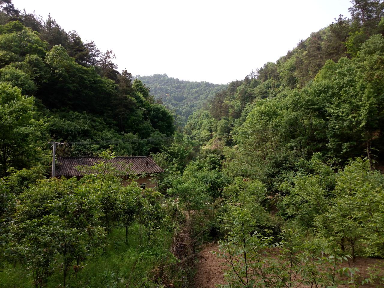 陶家沟水库