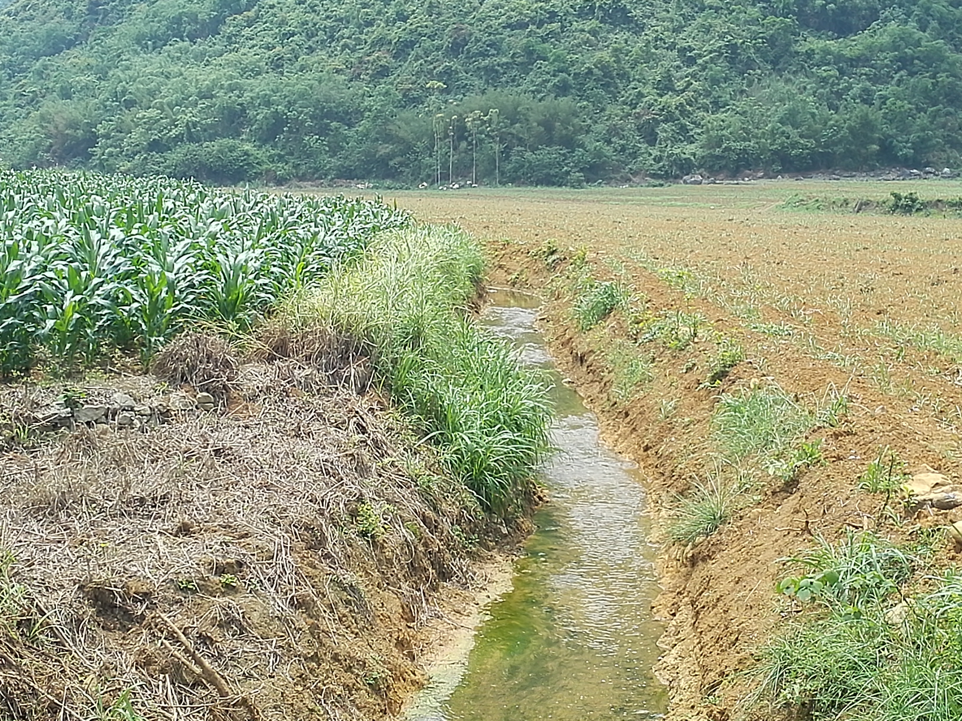 汤挪河