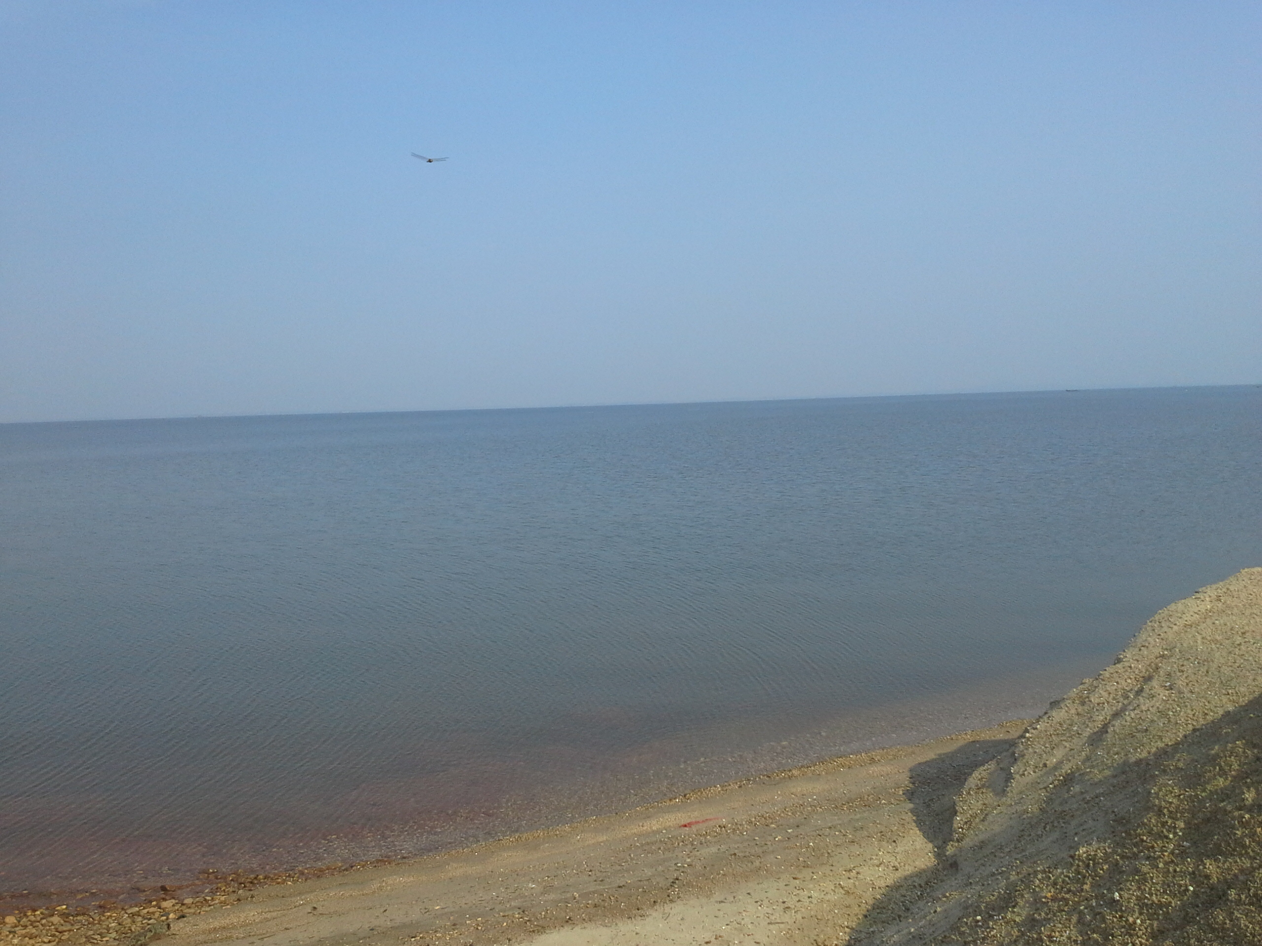 大野湖
