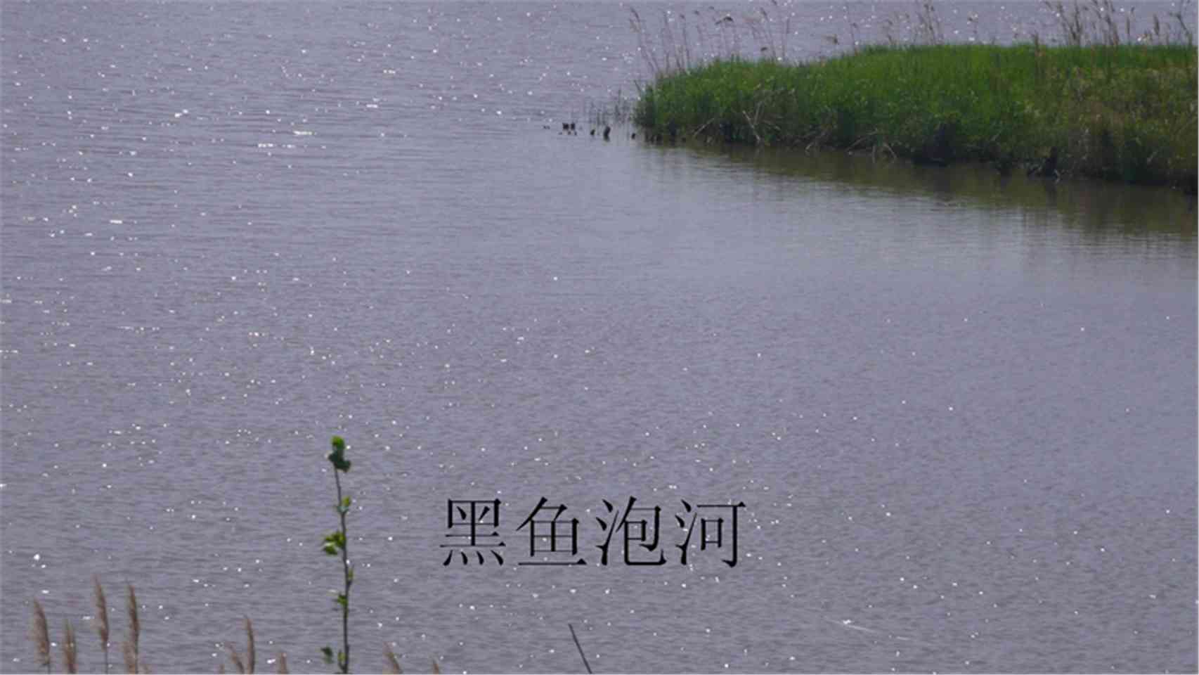 大黑鱼泡河