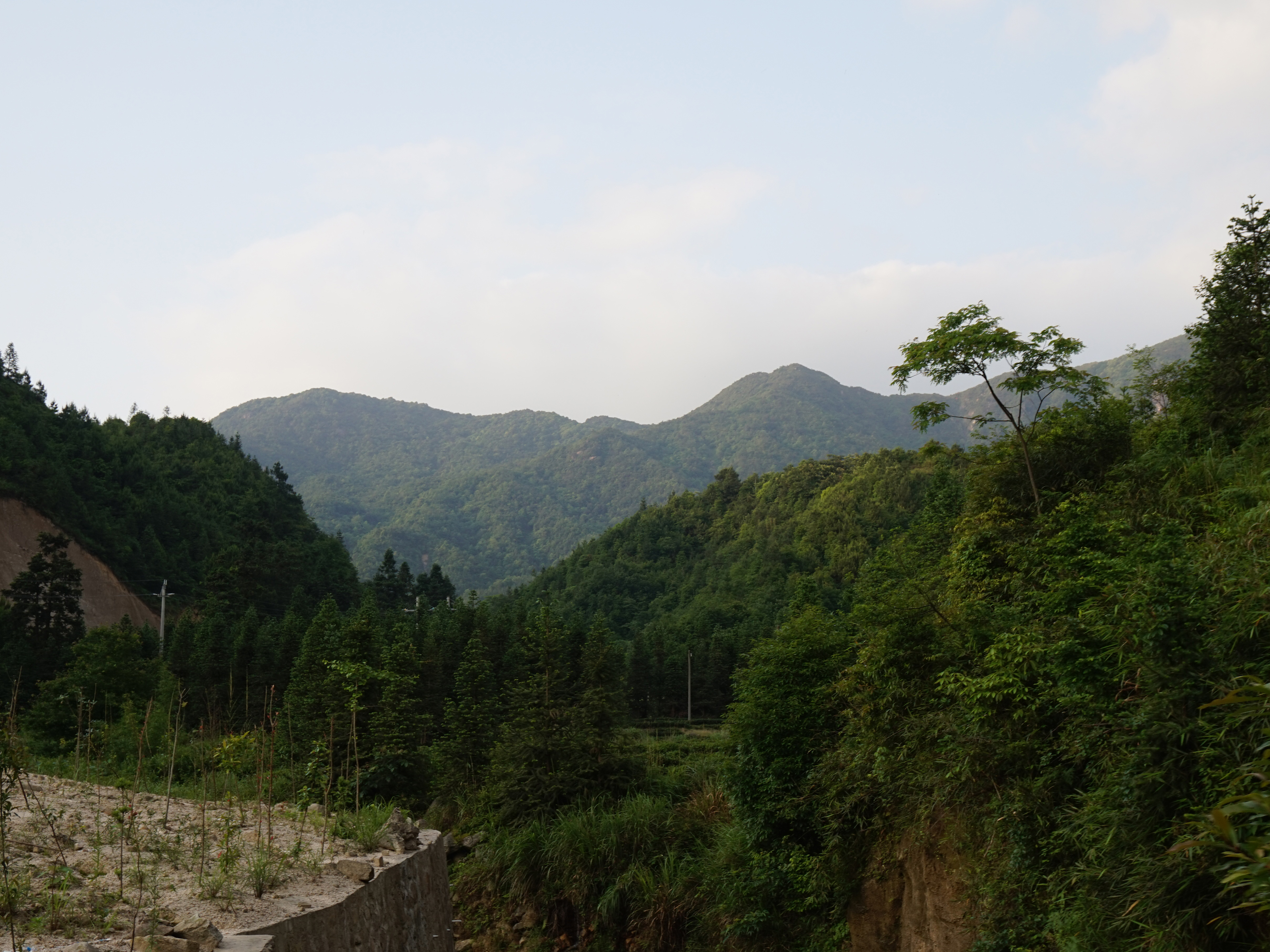 犁头山自然保护区