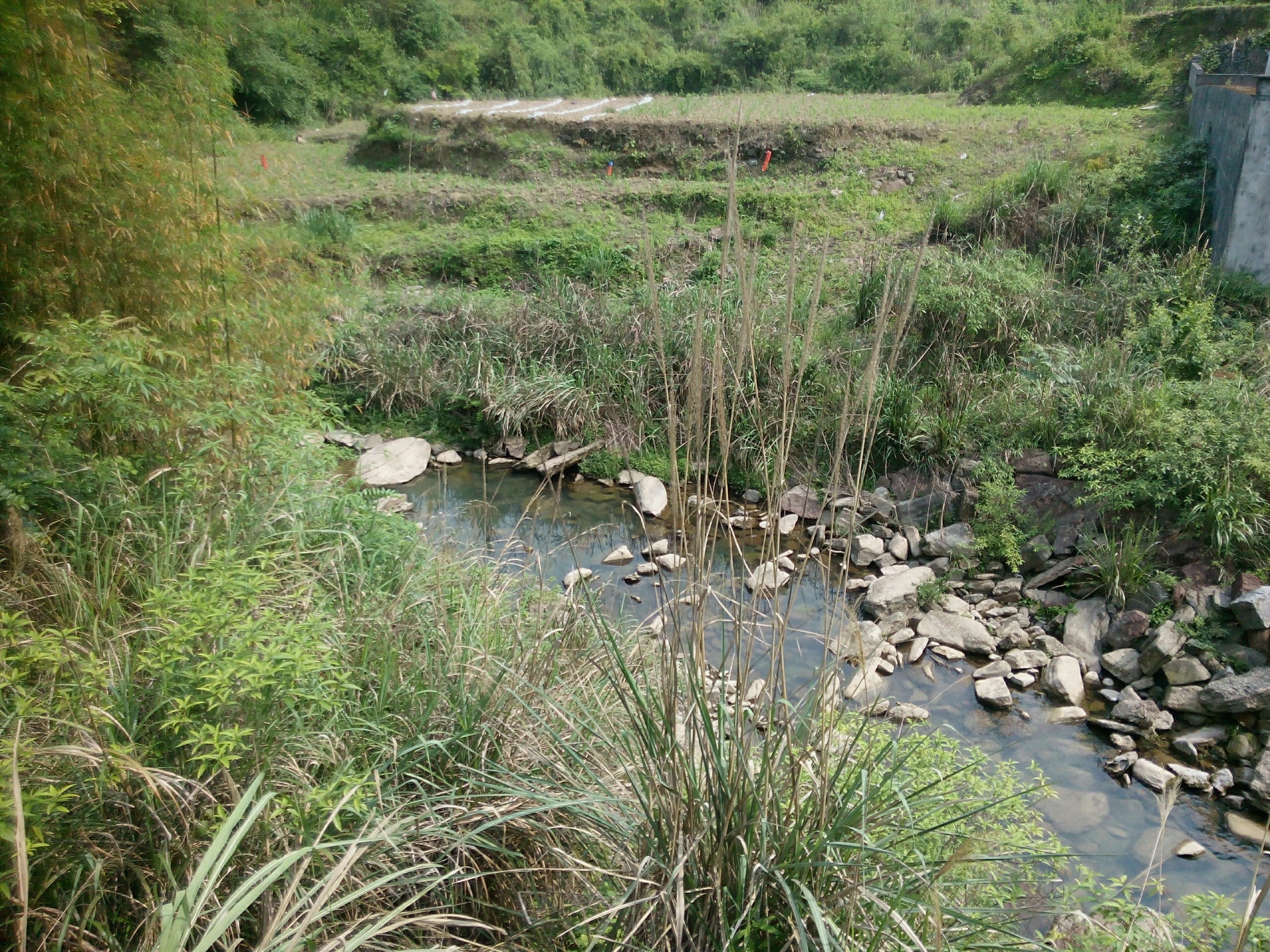 人家河