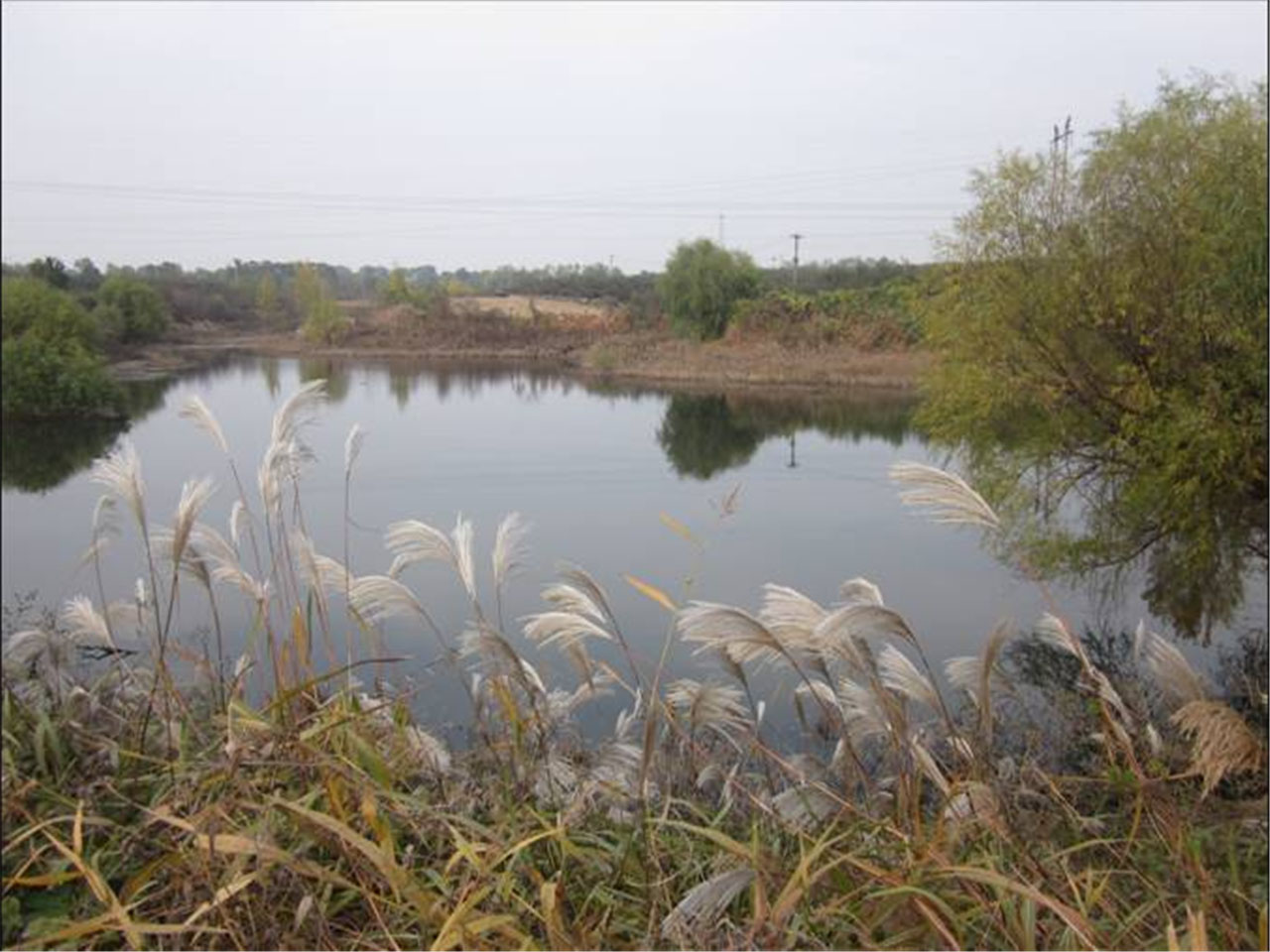 炉上村涝沟水库