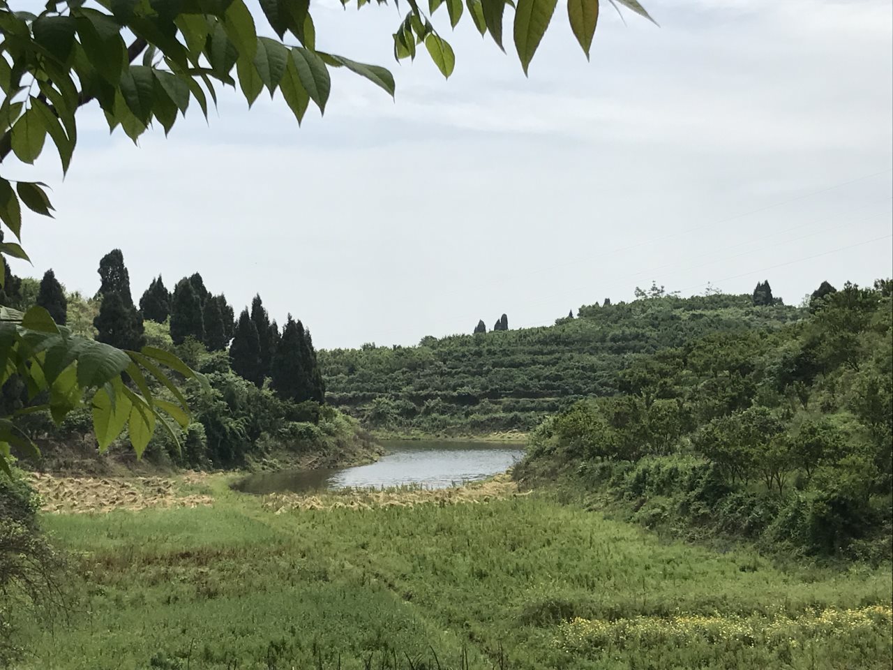 龙池村水库