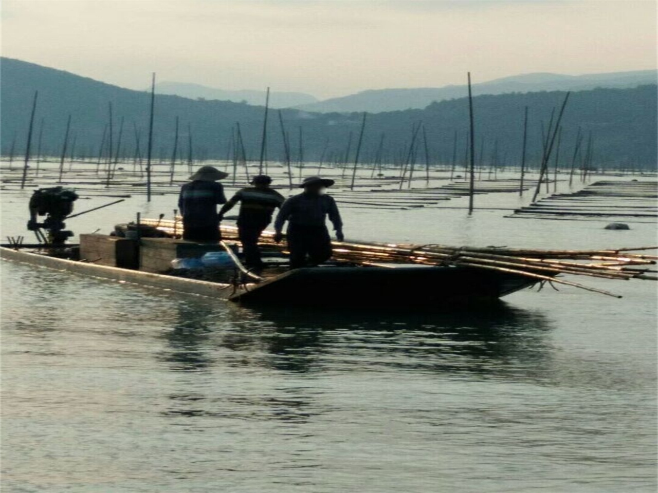 坡头村滩涂