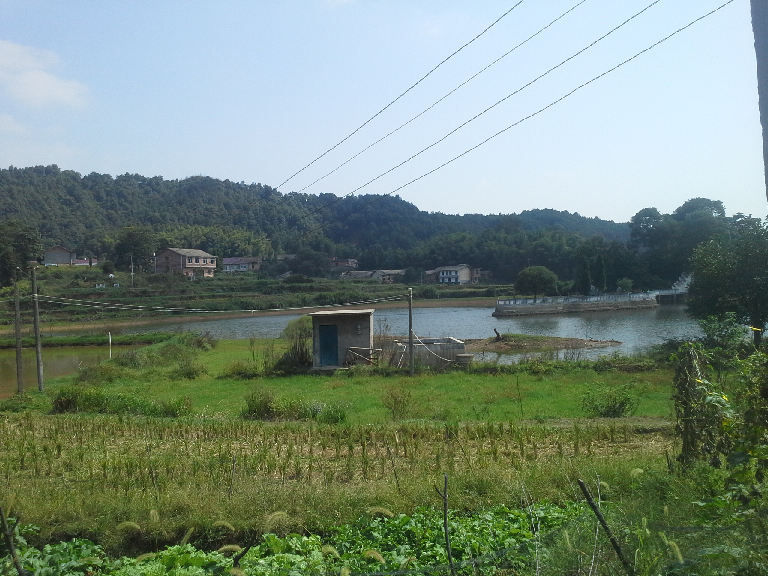 湖鸭塘水库