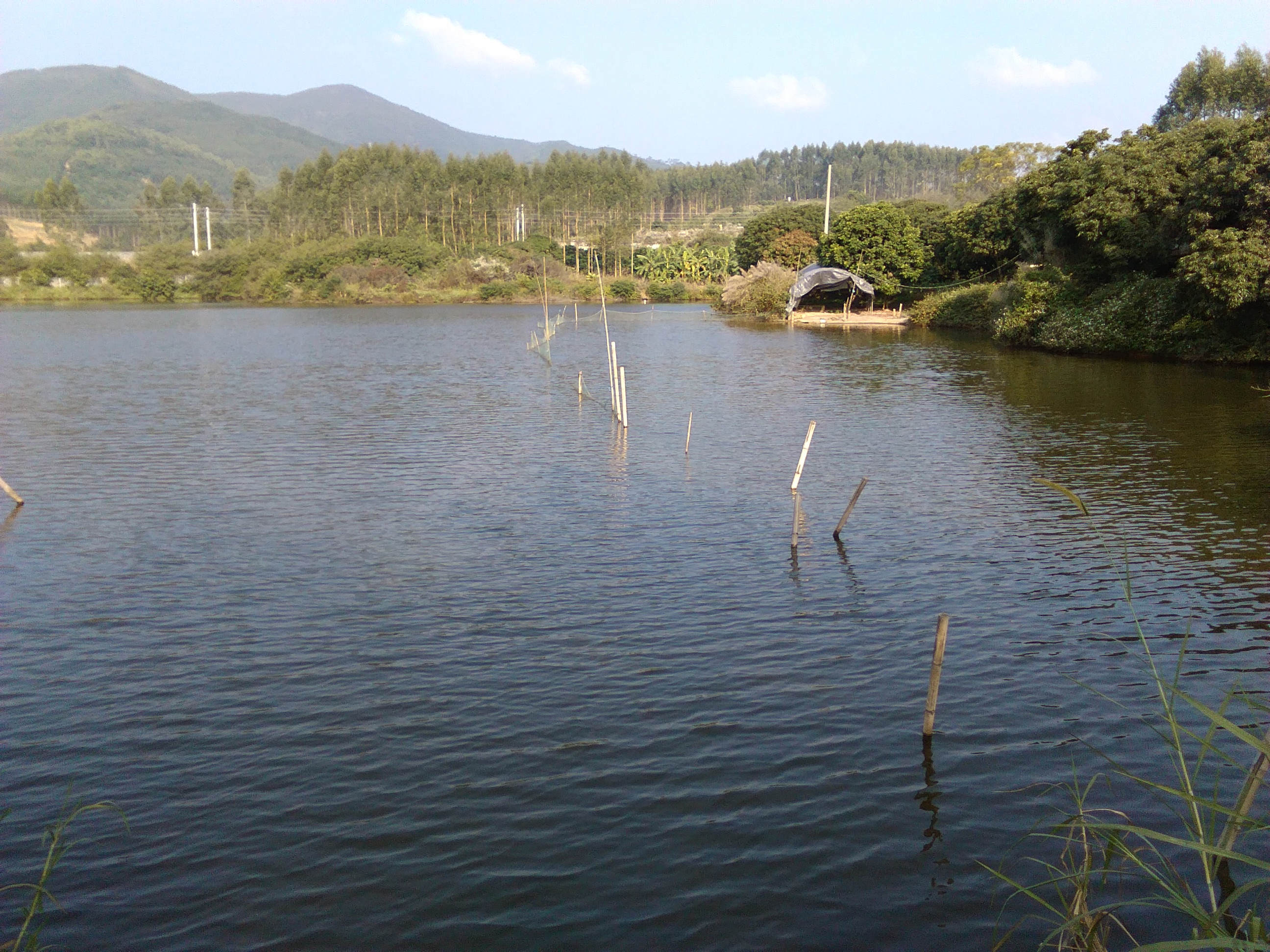 浮山水库